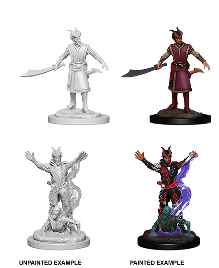 Nolzur's Marvelous Miniatures: Male Tiefling Warlock