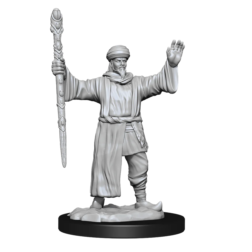 Nolzur's Marvelous Miniatures: Male Human Wizard