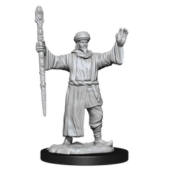 Nolzur's Marvelous Miniatures: Male Human Wizard