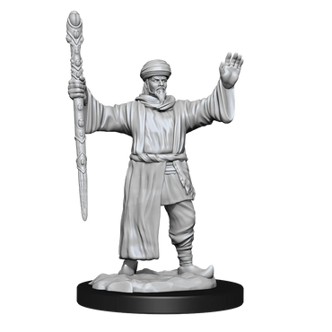 Nolzur's Marvelous Miniatures: Male Human Wizard