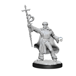 Nolzur's Marvelous Miniatures: Male Human Wizard