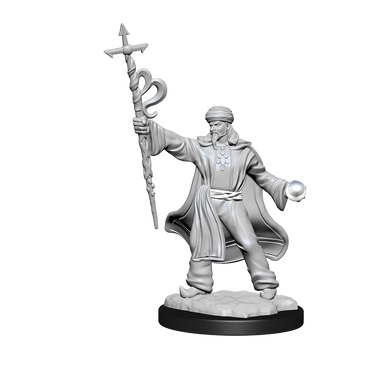 Nolzur's Marvelous Miniatures: Male Human Wizard