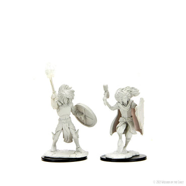 Nolzur's Marvelous Miniatures: Male Changling Cleric