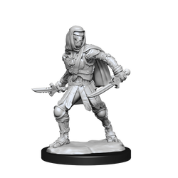 Nolzur's Marvelous Miniatures: Warforged Rogue