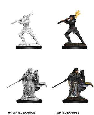 D&D Nolzur's Marvelous Miniatures: Human Female Paladin