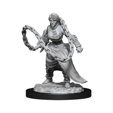 Nolzur's Marvelous Miniatures: Human Monk Female