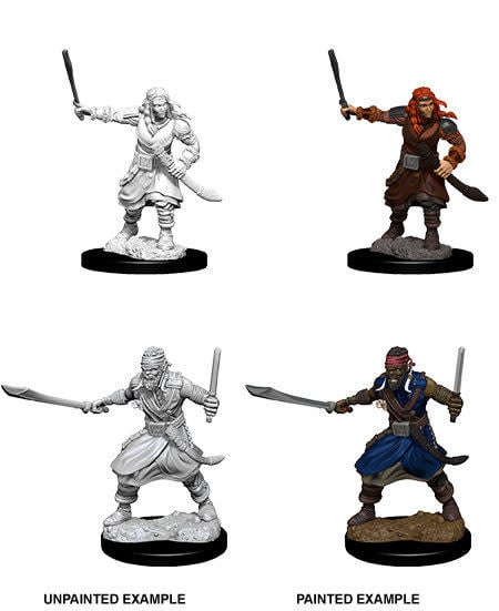 Nolzur's Marvelous Miniatures: Bandits