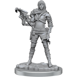 WIZKIDS DEEP CUTS: HUMAN ROGUE