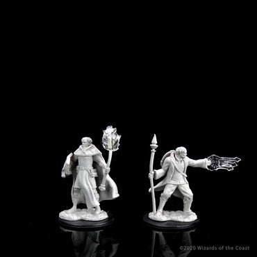 Nolzur's Marvelous Miniatures: Multiclass Cleric + Wizard