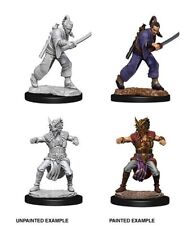 Human Male Monk D&d Nolzur's Marvelous Miniatures WizKids