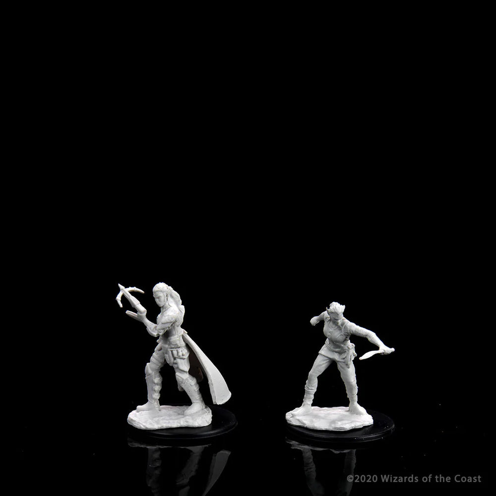 Nolzur's Marvelous Miniatures: Female Shifter Rogue